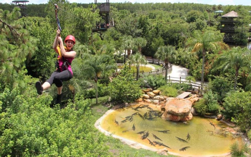Orlando: Gatorland Zipline Adventure w/ Full-Day Park Access - Check-In at Gatorland: Helmets, Harnesses, and Smart Timing
