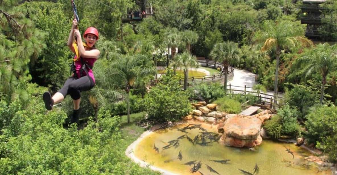 Orlando: Gatorland Zipline Adventure w/ Full-Day Park Access - The Big Launches: 65-Foot Platforms and Views Above the Tree Canopy
