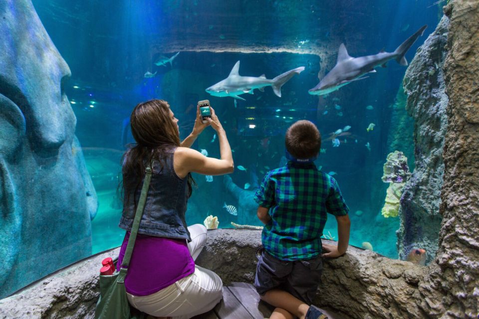 Orlando: Go City Explorer Pass - Choose 2 to 5 Attractions - Wildlife and Wildlife-Adjacent Fun: Airboats, Gatorland, and SEA LIFE