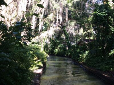 Orlando: Half-Day Sightseeing Tour + Eat & Play Savings Card - Morning logistics: pickup window and what to plan around