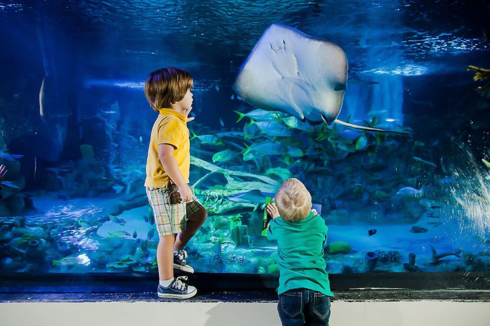 Orlando: Madame Tussauds and SEA LIFE Aquarium Combo Ticket - Location on International Drive: Easy Access and Parking