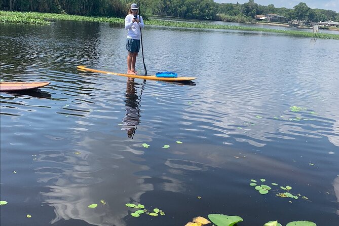 Orlando Manatee and Olde Florida History Adventure Tour - Key highlights before you go