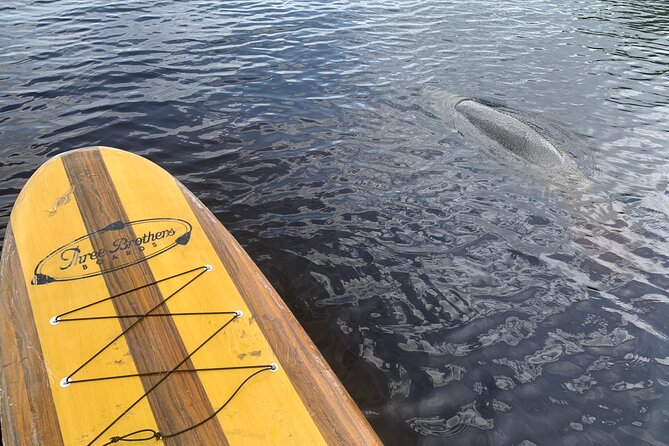 Orlando Manatee and Olde Florida History Adventure Tour - Who should book this paddle-and-history adventure