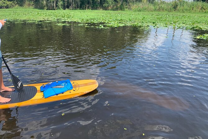 Orlando Manatee and Olde Florida History Adventure Tour - What to bring so the 2 hours feel easy