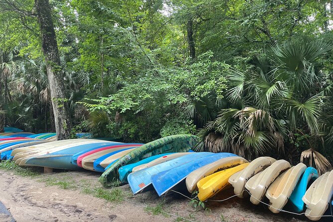 Orlando Private City Sightseeing Tour with Pickup - Wekiwa Springs State Park: Trails First, Water Fun On-Site