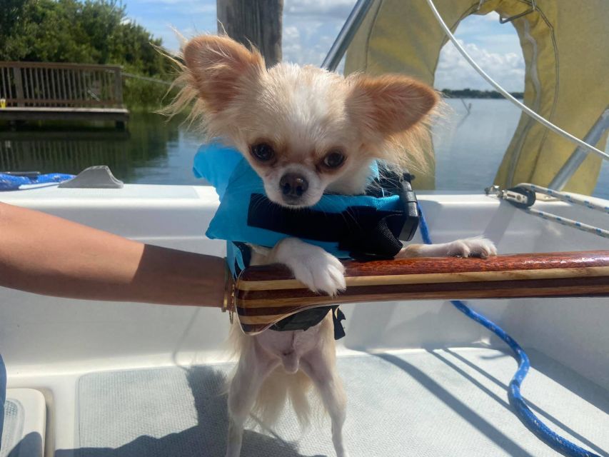 Orlando: Sailing Tour with Certified Sailing Instructor - Small group sailing (max 5): why fewer people makes it better