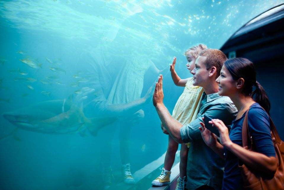 Orlando: SEA LIFE Orlando Aquarium - How long should you plan? (And how to pace it)