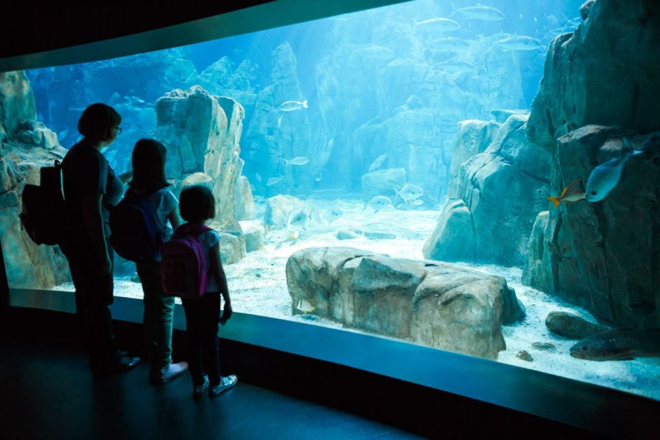 Orlando: SEA LIFE Orlando Aquarium - SEA LIFE Orlando Aquarium: what you’re paying for
