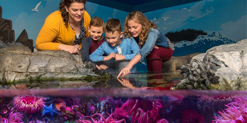 Orlando: SEA LIFE Orlando Aquarium - VR shark swim: optional, short, and worth timing your visit