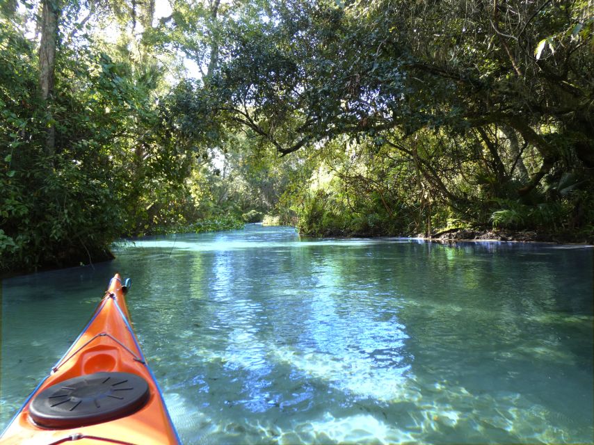 Orlando: Small Group Rock Springs Run Kayak Tour - Key highlights at a glance
