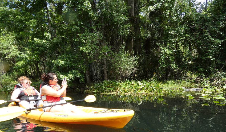 Orlando: Small Group Rock Springs Run Kayak Tour - Should you book the Rock Springs Run kayak tour?