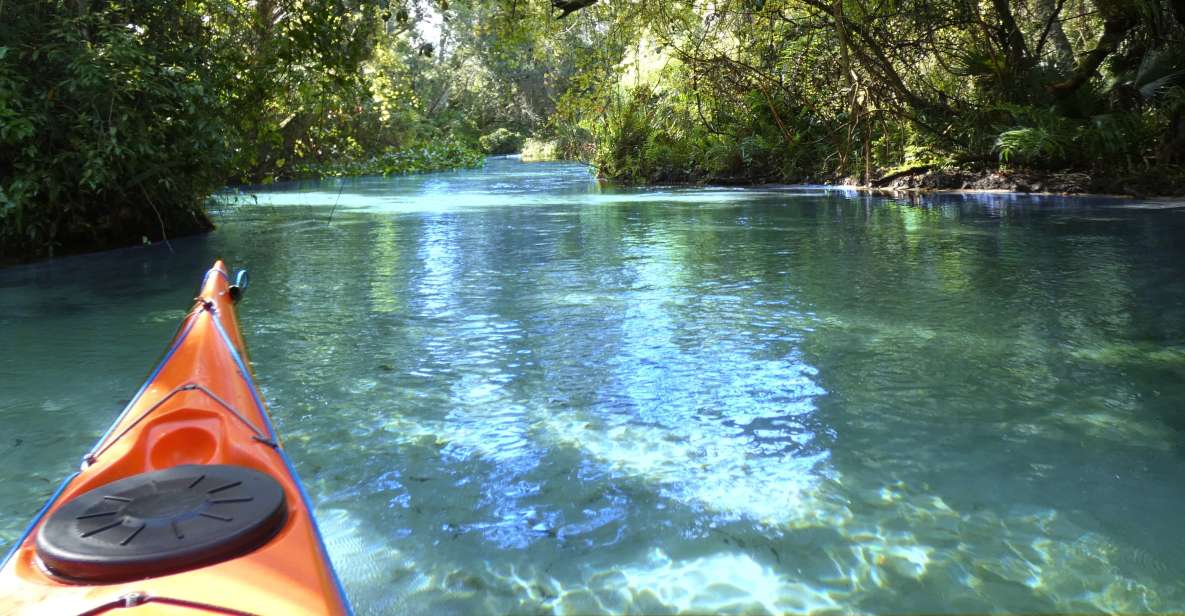 Orlando: Small Group Rock Springs Run Kayak Tour - Why Rock Springs Run beats another Orlando day