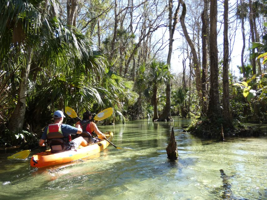 Orlando: Small Group Rock Springs Run Kayak Tour - Wildlife spotting that actually feels doable