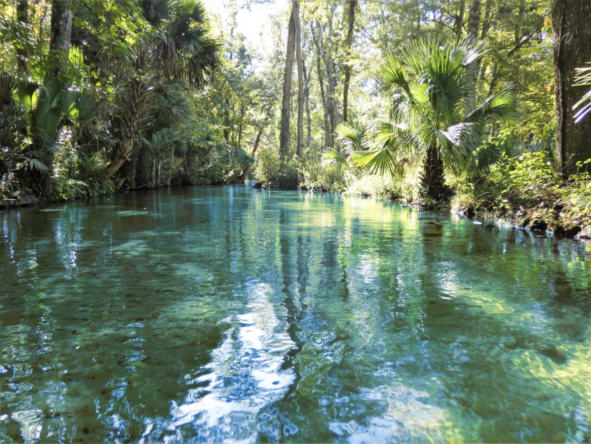 Orlando: Small Group Rock Springs Run Kayak Tour - Guides make or break the experience (and names matter here)
