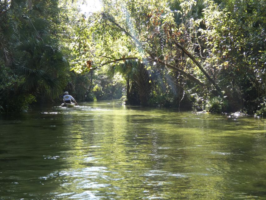 Orlando: Small Group Rock Springs Run Kayak Tour - Water, sun, and what to bring for a 3-hour spring run