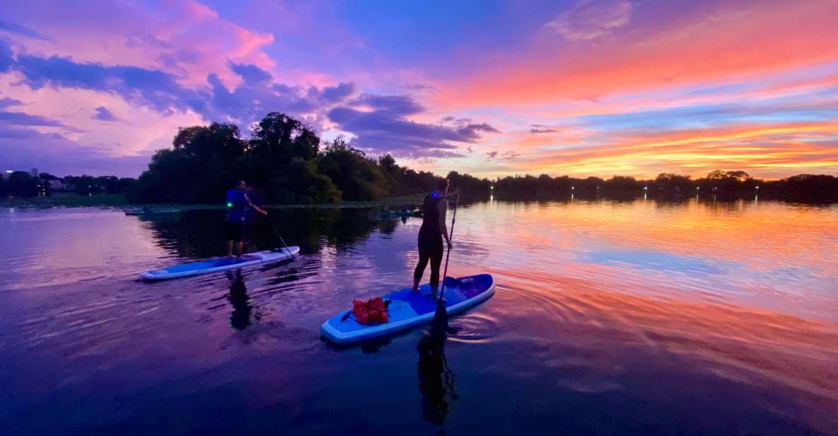 Orlando: Sunset Clear Kayak or Paddleboard in Paradise Tour - Wildlife, birds, and turtles: the calming kind of nature watching