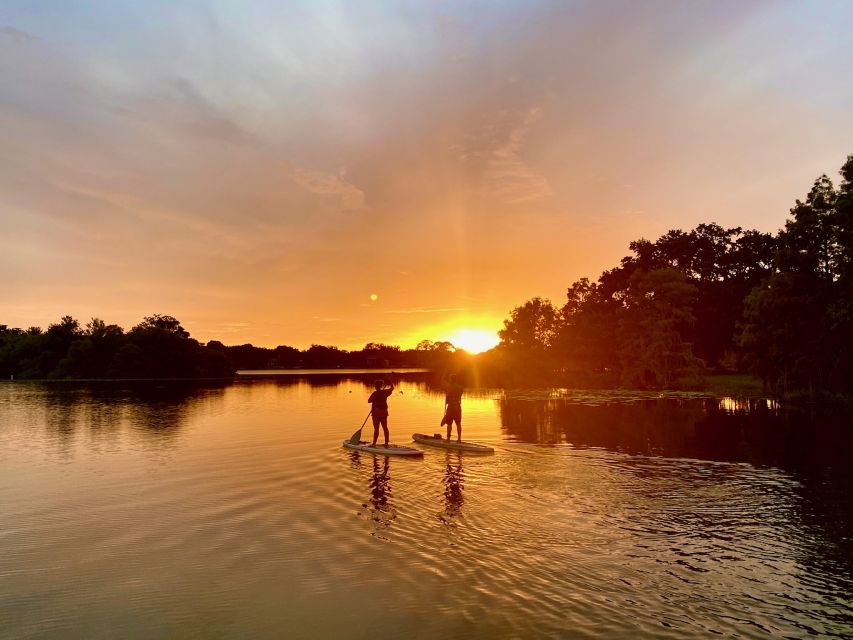 Orlando: Sunset Clear Kayak or Paddleboard in Paradise Tour - Price and value: is $65 a good deal for a sunset paddle?