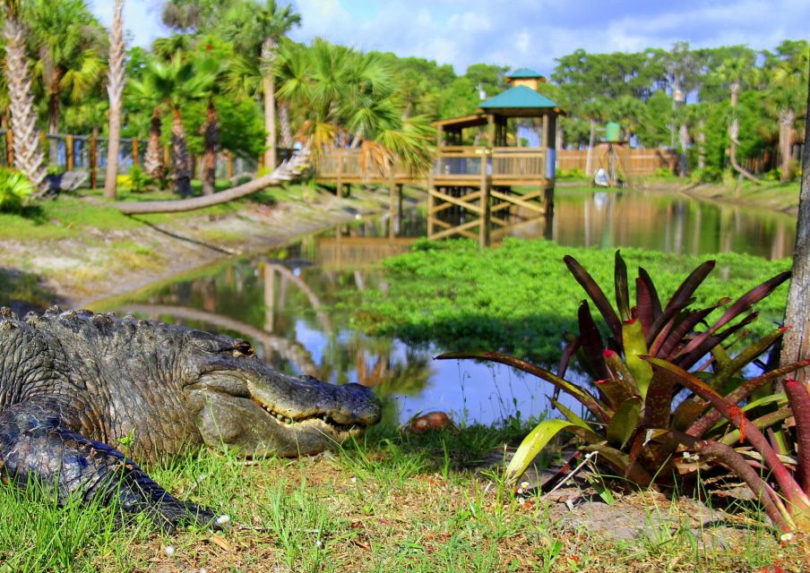 Orlando: Wild Florida Airboat Ride with Hotel Pickup & Lunch - Why This Airboat Ride Feels Like Getting Off the Map