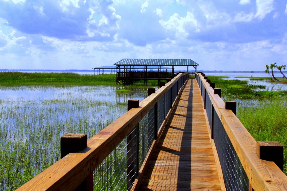 Orlando: Wild Florida Airboat Ride with Hotel Pickup & Lunch - Wild Florida Wildlife Park: How the Day Shifts From Wild to Guaranteed