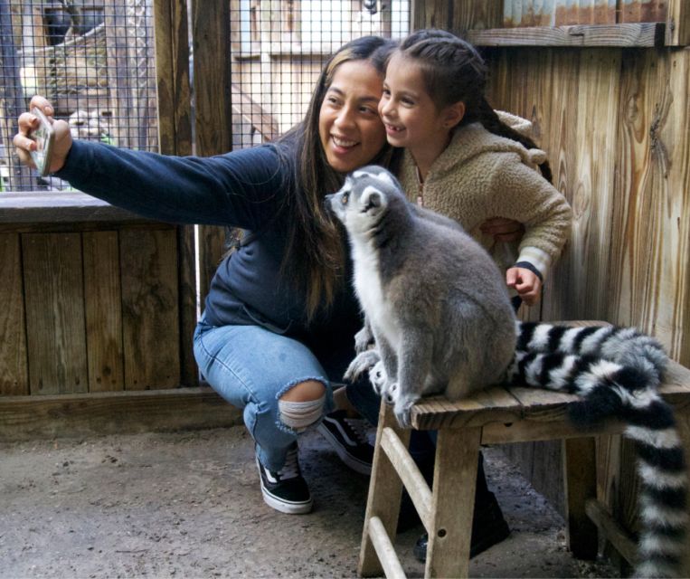 Orlando: Wild Florida Park Ticket and Gator Shows - Who should book Wild Florida Park