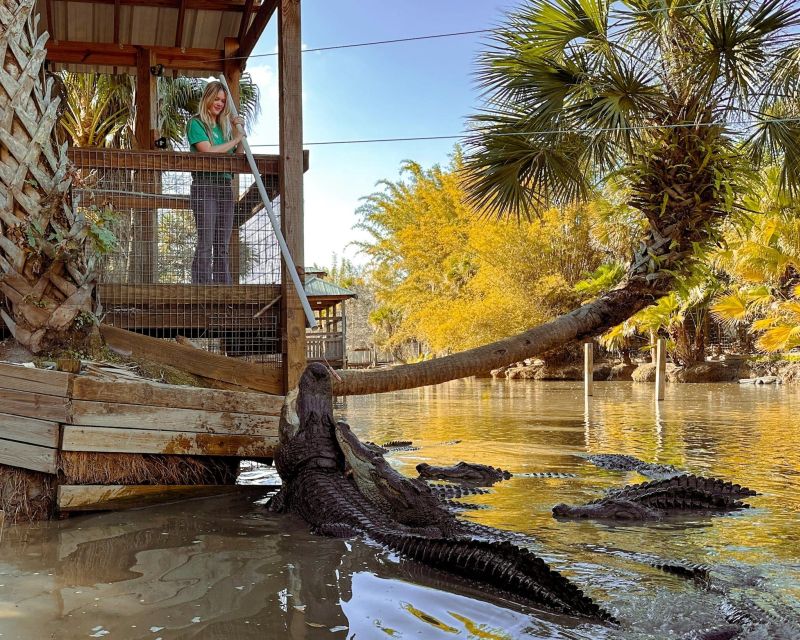 Orlando: Wild Florida Park Ticket and Gator Shows - Tropical bird aviary: a colorful break from the heavy hitters