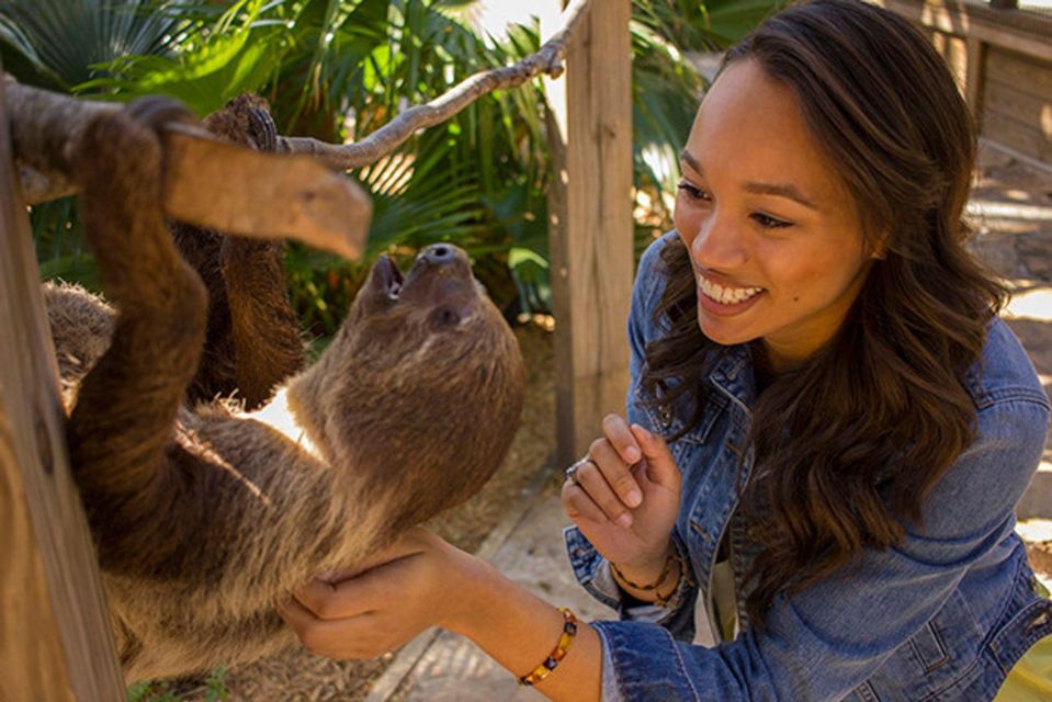Orlando: Wild Florida Park Ticket and Gator Shows - Food at the park: BBQ if you’re making it a longer stop