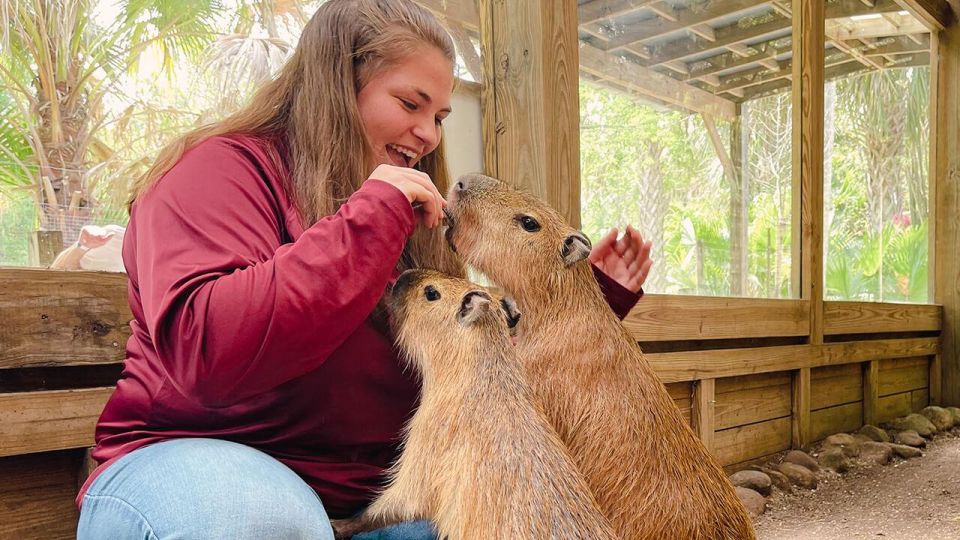 Orlando: Wild Florida Park Ticket and Gator Shows - Price and value: why $15 can feel surprisingly fair