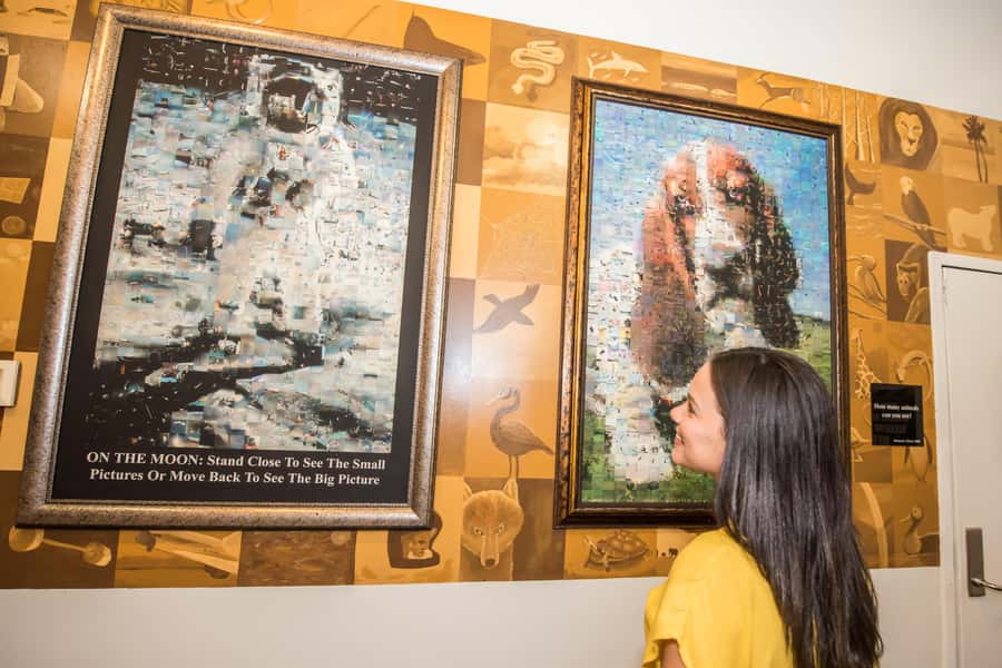 Orlando: WonderWorks Nighttime Entry Ticket - The 100+ interactive exhibits: how to enjoy them without getting lost