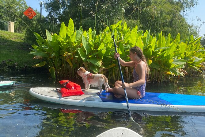 Paddle with Pups in Paradise - Paddleboard or Kayak - The Lesson: How You Get Stable Fast