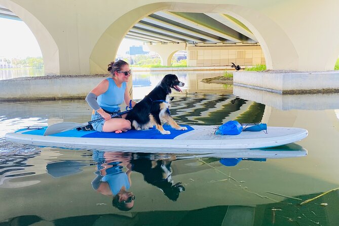 Paddle with Pups in Paradise - Paddleboard or Kayak - Your Dog’s Safety and Comfort: Vests, Weight, and Boundaries