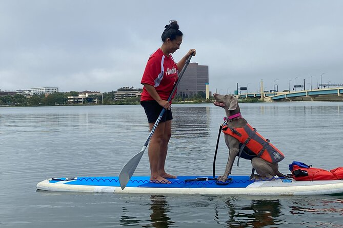 Paddle with Pups in Paradise - Paddleboard or Kayak - What’s Included, What’s Not, and the Real Value of $65