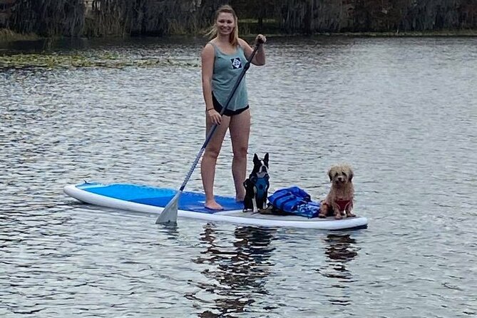 Paddle with Pups in Paradise - Paddleboard or Kayak - Weather, Pace, and Comfort: When This Works Best