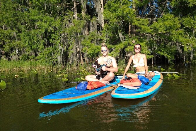 Paddle with Pups in Paradise - Paddleboard or Kayak - Should You Book Paddle with Pups in Paradise?