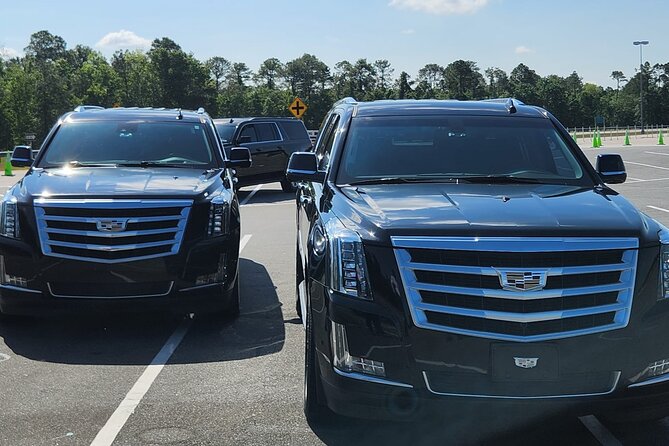 Port Canaveral Cruise Transfer to and from Orlando Intl Airport - Timing: flight delays and cruise-day logistics handled by the driver