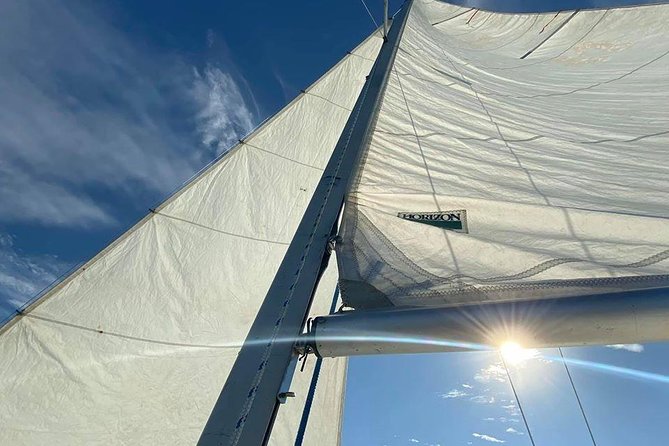 Private 2-Hour Day Sailing Experience - Price and Value: Why $89 Can Feel Fair (If You Choose the Right Fit)