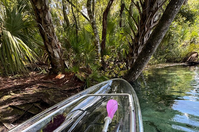 Private Crystal Clear 2 HR Kayak/Paddle Rental on Rainbow River - Key highlights before you go