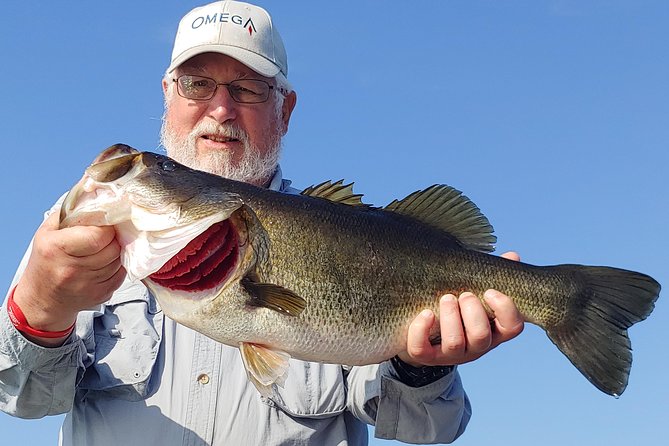 Private Lake Tohopekaliga Fishing Charter near Orlando - A private charter on Lake Toho: what this day really feels like