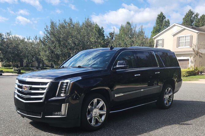 Private Orlando Airport Transfer to Disney Resort Area - Drop-offs at Disney resort area and how to handle luggage
