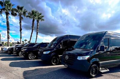Private service, Airport, Hotels to Port Canaveral terminals. - The pickup method: name sign + marked vehicle + a driver who finds you