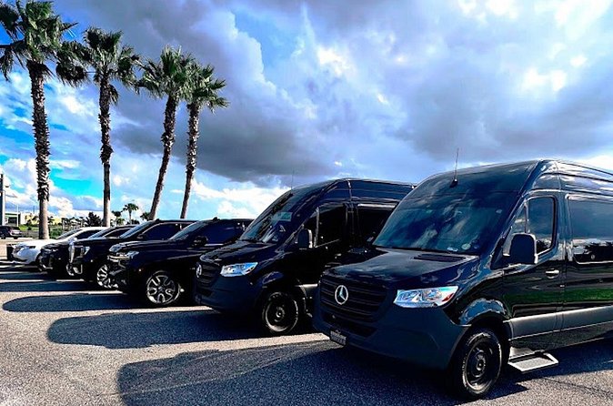 Private service, Airport, Hotels to Port Canaveral terminals. - The pickup method: name sign + marked vehicle + a driver who finds you