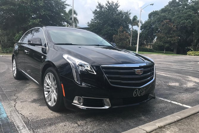 Private Transfer: Orlando Airport MCO to Lake Buena Vista Hotels - Key things I’d bet on