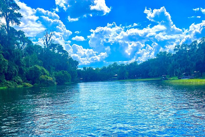 Rainbow Springs Clear Kayak and Paddleboard Guided Tours - Guide Brad’s River Stories: wildlife, spiders, and bird behavior