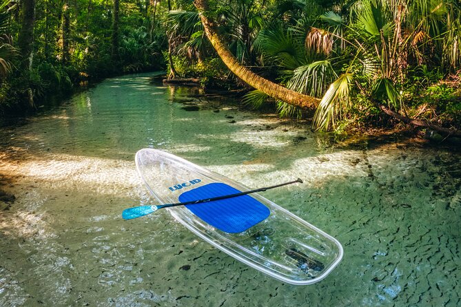 Rainbow Springs: Clear Kayak & Snorkel Eco Tour - KP Hole Park logistics: where you start and what you can do after