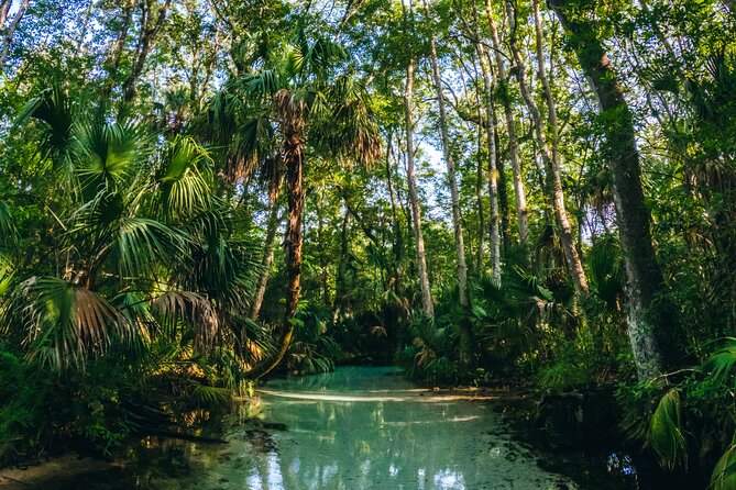 Rainbow Springs: Clear Kayak & Snorkel Eco Tour - Price and value: where the costs add up (and where you’re getting your money’s worth)