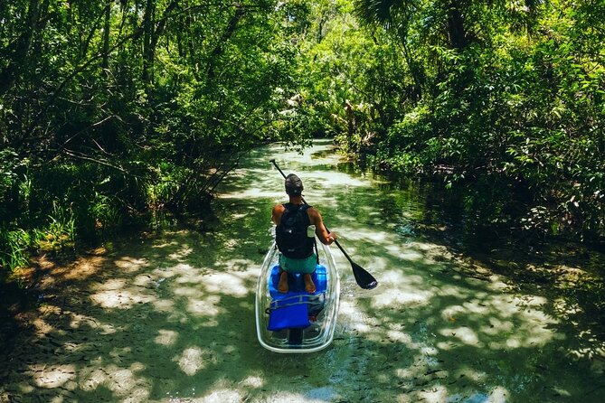 Rainbow Springs: Clear Kayak & Snorkel Eco Tour - Who should go (and who should think twice)