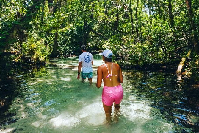 Rainbow Springs: Clear Kayak & Snorkel Eco Tour - How the Rainbow River paddle works (and why the route feels smart)