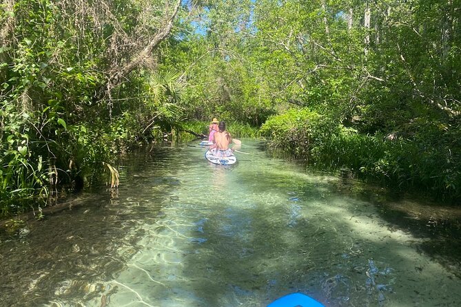 Rainbow Springs Electric Paddle Tour - Key highlights at a glance