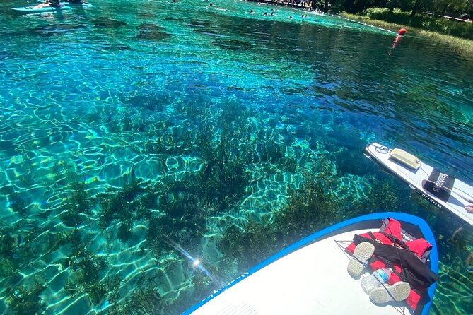 Rainbow Springs Electric Paddle Tour - What you get onboard: boards, life jackets, and the motor kit