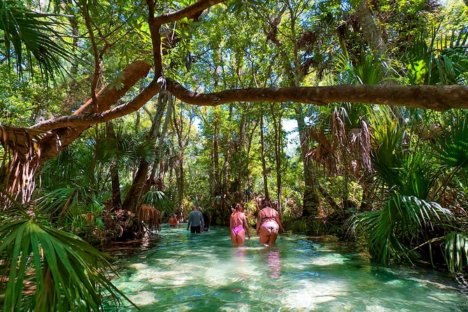 Rainbow Springs Paddle Board Tour - Rainbow Springs Paddle Board Tour: What the Water Looks Like Up Close