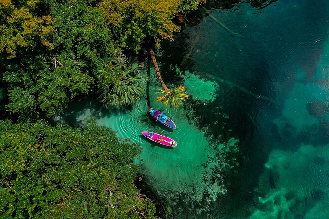 Rainbow Springs Paddle Board Tour - KP Hole Park Fee and the Start Point: Your Real Total Cost
